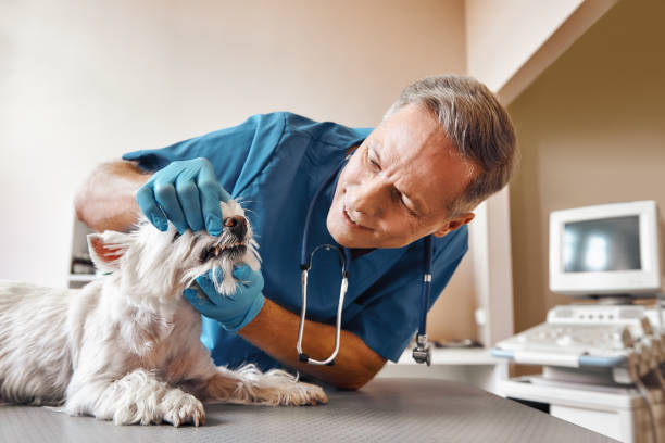Best Emergency Tooth Extraction in Baltimore, OH
